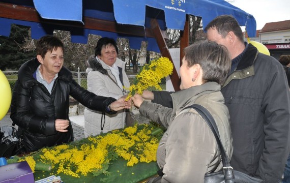 U Koprivnici obilježen hrvatski Dan mimoza