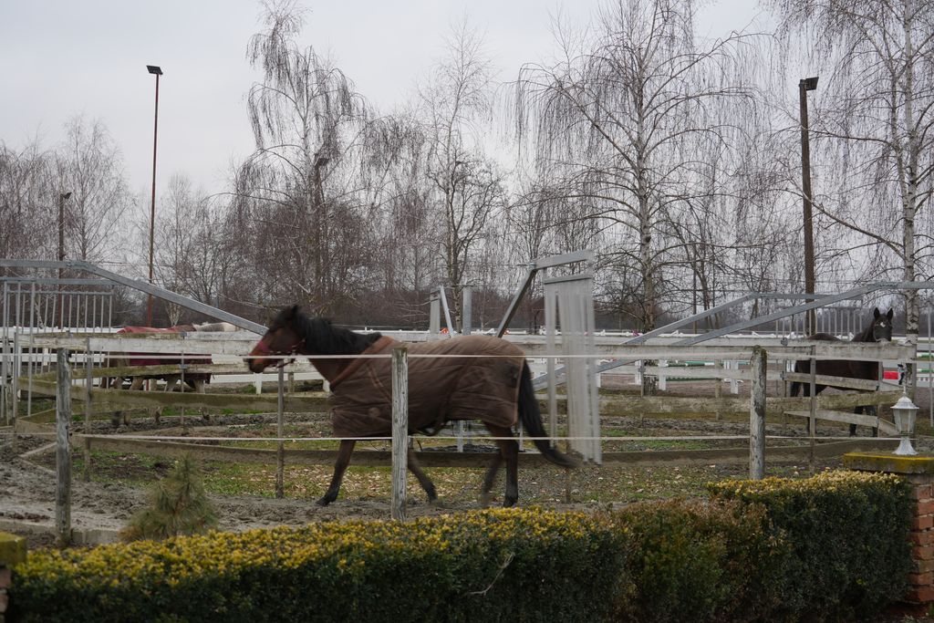 Grad Koprivnica osigurao potporu za nastavak terapijskog jahanja Udruge Osmijeh