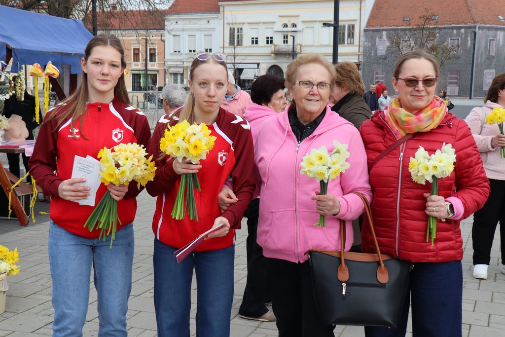 Dan narcisa u Koprivnici i okolnim gradovima posvećen prevenciji raka dojke